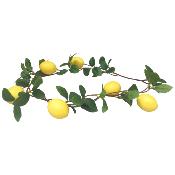 Fine guirlande citrons ou mandarines NOUVEAU