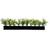 Boite de 12 barrettes noires Fougère 25 cm PROMO STOCK LIMITÉ