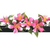 Boite de 12 barrettes noires Prunier 25 cm PROMO STOCK LIMITÉ