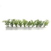 Boite de 12 barrettes blanches Fougère 25 cm PROMO STOCK LIMITÉ