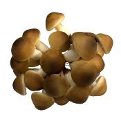 Déco : Boite de 24 champignons Ht. 7cm + pique