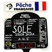 Ardoise marée La + COMplète