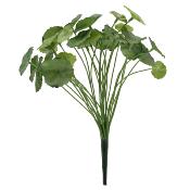 LE LOT [ 8 Piquets "Money Plant" ht. 30 cm ]