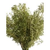 Feuillage : Piquet Selaginelle 30 cm
