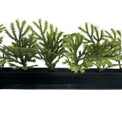Boite de 12 barrettes noires Fougère 25 cm PROMO STOCK LIMITÉ