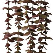 Feuillage : Chute Eucalyptus vert-pourpre 70 cm
