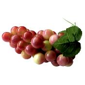 Grappes raisins 18 cm